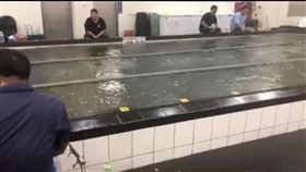 彰化,地震,釣蝦場,蝦池,震度