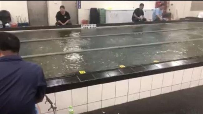 地震／另類「海波浪」釣蝦場地震瞬間