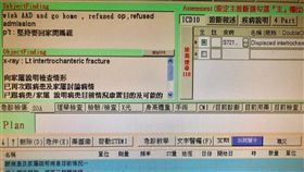 髖關節骨折患者堅持回家問媽祖（圖／白永嘉醫師授權提供）