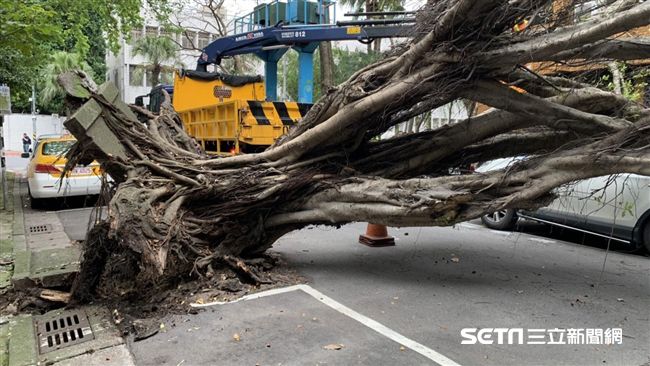 強震過4小時　北檢旁路樹倒榻壓扁車