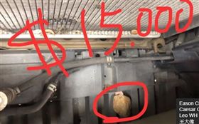 開車國道石頭飛進