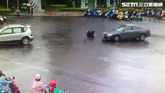 騎士天雨急煞犁田　撞進車底險遭輾