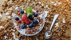 燕麥 圖／pixabay