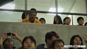 周美青現身棒球場為兄弟加油。（圖／記者王怡翔攝影）