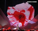 許茹芸「綻放的綻放的綻放」巡迴演唱台北小巨蛋開唱。（記者邱榮吉/攝影）