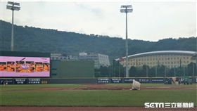 天母棒球場場地整理中。（圖／記者王怡翔攝影）