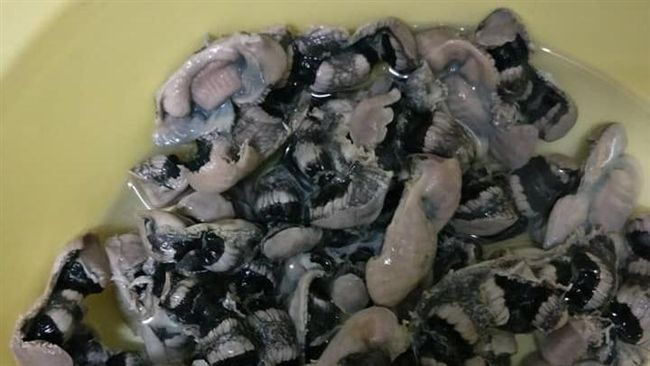 以為買到黑心雞胗　網揭真相：賺到了