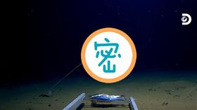 美國,海溝,水母,潛水,物種,海底,生物
https://www.youtube.com/watch?v=iHHXtNPd8vY