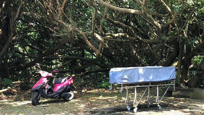 對母謊稱出門上班　他卻去富貴角輕生