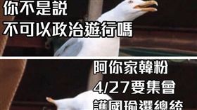 韓國瑜,口號,政治0分,經濟100分,高雄市長,韓粉,只是堵藍　圖／翻攝自臉書只是堵藍