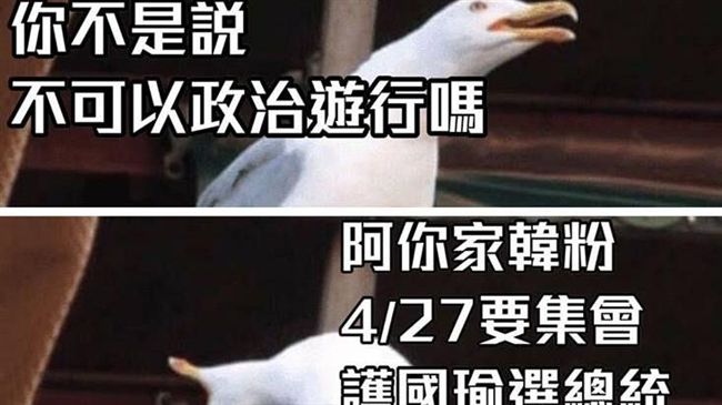 韓導口號「政治0分」　他一張圖打臉