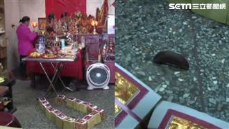 關公不想走！站筊16小時　連7聖筊