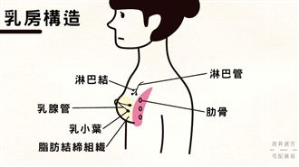 快自摸！乳癌早期就會有症狀