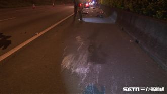 主人自撞翻滾百公尺　柯基犬吐血陪葬