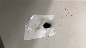 桃園,保大,警槍,誤擊,槍響