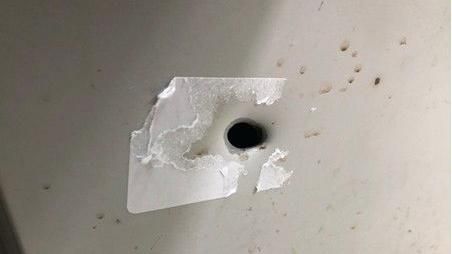 魔咒？又是警槍誤擊發！1發命中…