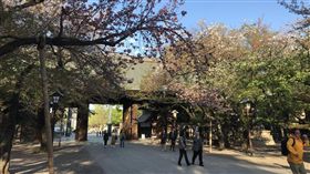 靖國神社。(圖/翻攝自推特)