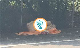 充氣娃娃丟墳墓旁…旁邊還有衛生紙，他怨：用完就丟？（圖/翻攝自爆廢公社）