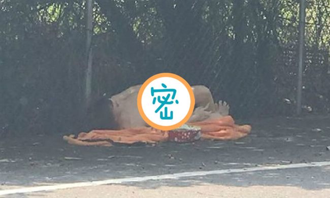 墳墓旁驚見裸女！竟還有一堆衛生紙