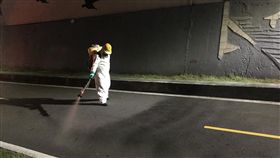 北市延平公園驚見豬屍（圖／翻攝自動保處網站）