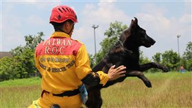 新竹市消防添新戰力 2隻搜救犬25日亮相新竹市消防局特種搜救隊107年派3名隊員前往內政部消防署訓練中心，與搜救犬一對一進行培訓，其中2隻通過初試的搜救犬，將於25日新竹市民安5號演習時亮相。（新竹市消防局提供）中央社記者魯鋼駿傳真 108年4月22日