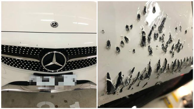 賓士在停車場內遭咬爛！車主一看心碎