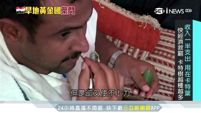 葉門瘋吃卡特葉！收入一半全用在這