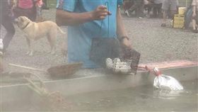 清水地熱,水煮蛋,捕鼠籠,爆廢公社二館　圖／翻攝自臉書爆廢公社二館