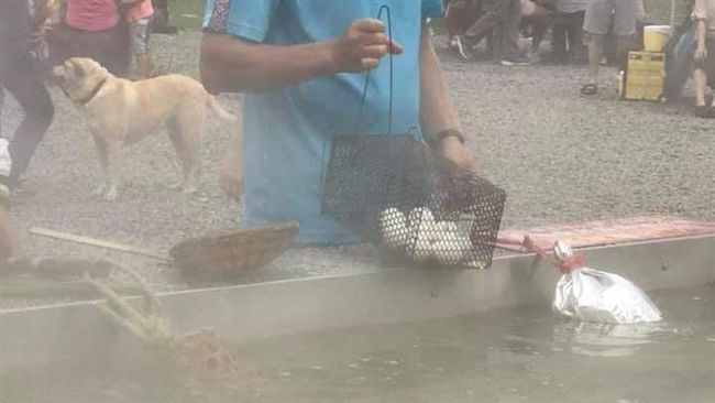 阿北清水地熱爽煮蛋　工具卻讓網吐了