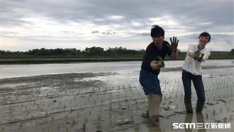 農田初體驗　主持人竟身陷險境！