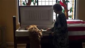 心碎的畫面！忠犬跨上棺木目送主人長眠　深情一舔令人動容（圖／翻攝自nina__photography_06 IG）