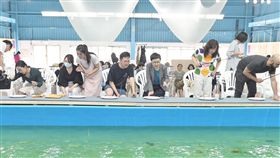 2019台灣文博會24日將正式登場，展區之一的空總台灣當代文化實驗場以「文化大學堂」為概念，設置「混水釣蝦場」特展，民眾可在展場內釣蝦、烤蝦，是兼具當代文化、生態保護、藝術展演與體驗經濟的實驗特展。（空總提供）中央社記者鄭景雯傳真　108年4月23日