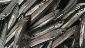 澎湖縣政府為保育及維護漁業資源之永續利用，自5月1日至6月1日止為丁香魚禁漁期，禁止捕撈，違者依漁業法可處新台幣3萬元以上、15萬元以下罰鍰。中央社 108年4月25日