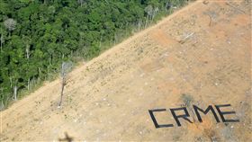 熱帶雨林,印尼　圖／達志影像／路透社