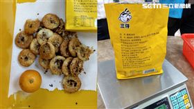 搭客輪抵台中港…陸客帶「蟹黃豬肉燒餅」　秒搭原船回家去 圖／台中海巡提供