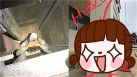 示意圖,空心柱,掉入,小偷,美國,偷竊,童心,繪圖,搜查,天花板,　圖／翻攝自Wharton Police Department臉書