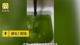大陸,湖北,自來水,抱怨,瓶裝水,水龍頭,藻類,標準, 圖／翻攝自梨視頻