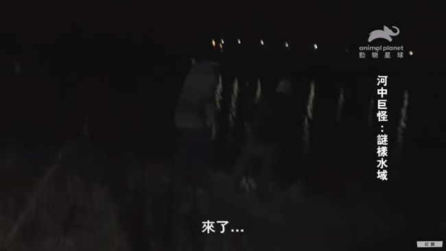 最美湖驚現水怪！3公尺巨獸躍出水面