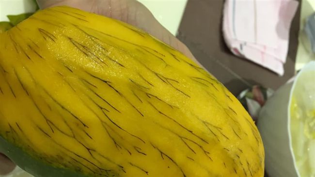驚見芒果「長腿毛」！內行人狂勸別吃