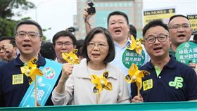 民進黨參加廢核大遊行。（圖／民進黨提供）