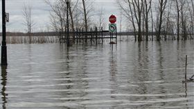 加拿大洪患（圖／翻攝自推特）