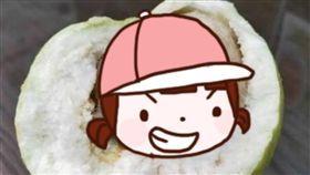 芭樂,貢丸,爆怨公社,舍利子,花枝丸,惡魔果實,冷凍, 圖／翻攝自爆怨公社臉書