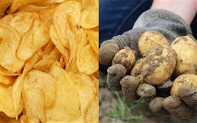 樂事,百事可樂公司,馬鈴薯,印度　（圖／翻攝自推特）