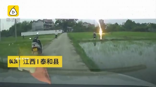 雨天水田插秧　農夫遭雷劈倒地死亡