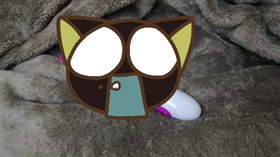 送洗,棉被,情趣用品,姐夫(圖/翻攝自爆廢公社二館)