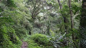 南澳古道（圖／翻攝自農委會林務局官網）