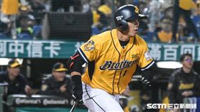 兄弟象周思齊 圖／記者林敬旻攝