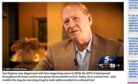 ▲提濆斯（Joe Tippens）認為是驅蟲藥救了他。（圖／翻攝自每日郵報）