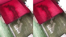 苗栗搭火車！他見座椅流出「謎樣噁炸汁液」崩潰：公德心？　網全嘔翻(圖/爆料公社)
