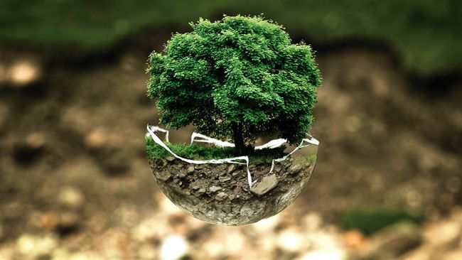 地球生態浩劫！逾百國外交官商討對策